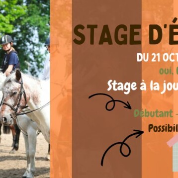 Stages d’équitation : vacances de la Toussaint 2024